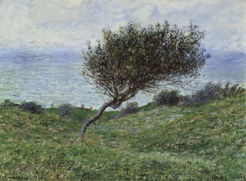 Claude Monet On the Coast at Trouville France oil painting art